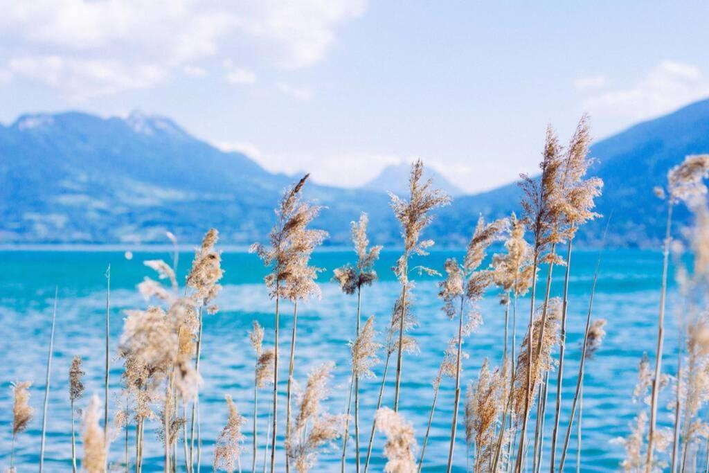 Le Continental Beau T2 Plein Centre + Parking Appartement Annecy Buitenkant foto