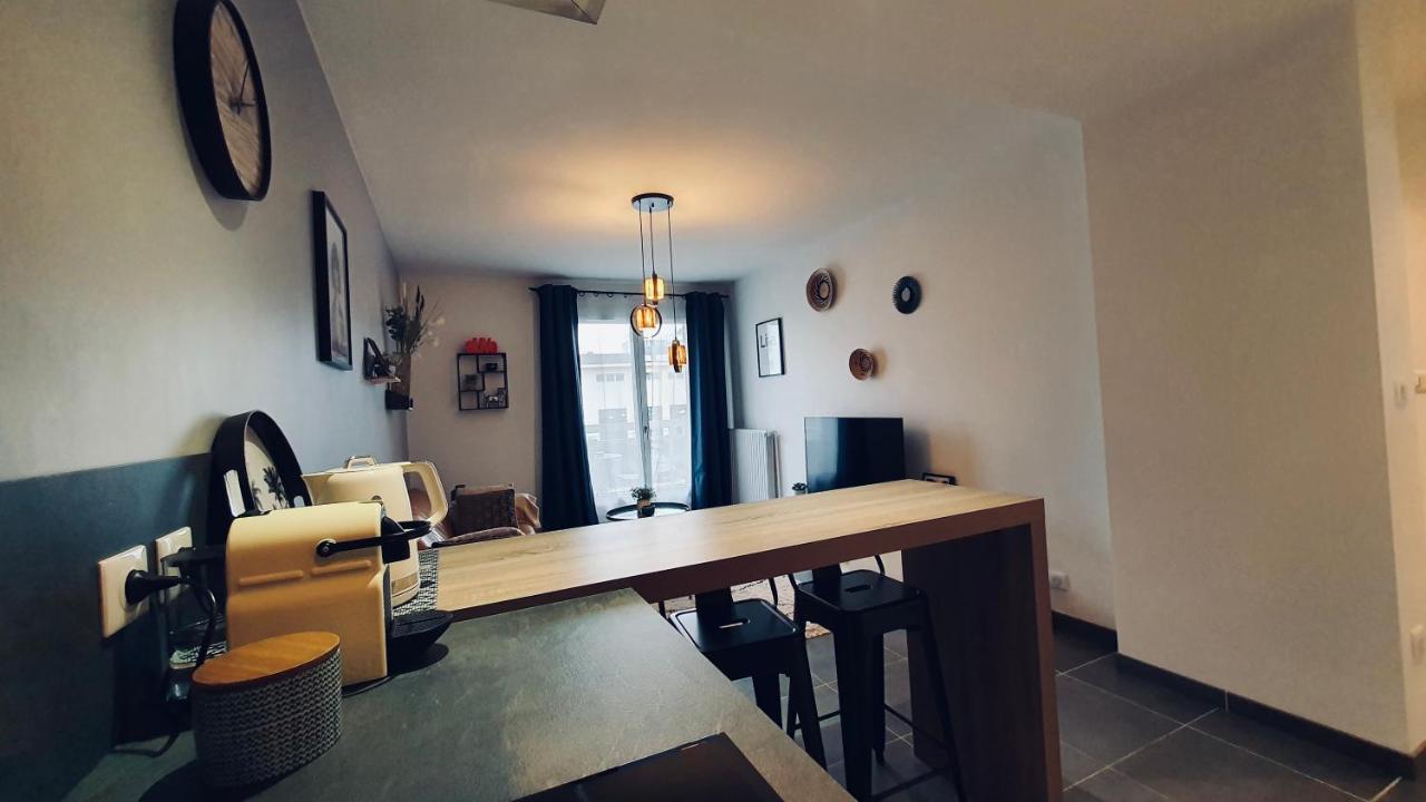 Le Continental Beau T2 Plein Centre + Parking Appartement Annecy Buitenkant foto